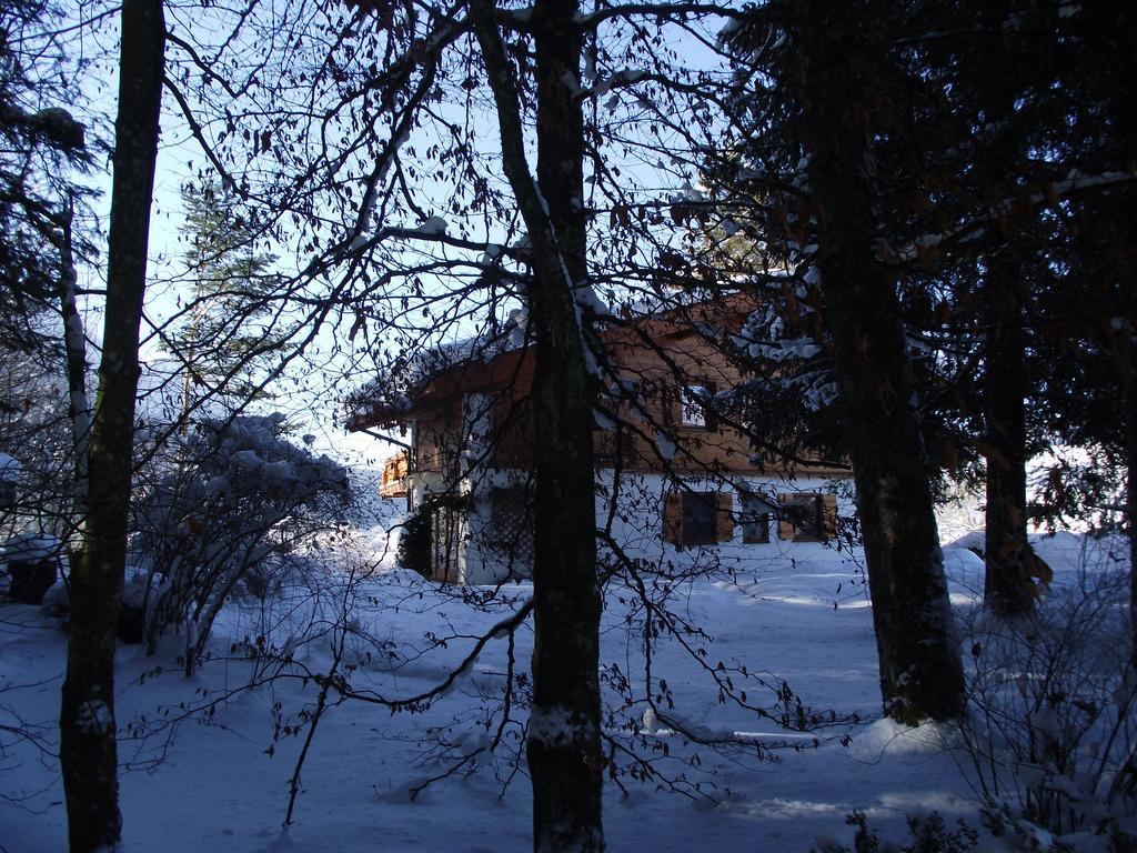 Ferienwohnung Am Roemerweg Wald Inzell Exterior foto